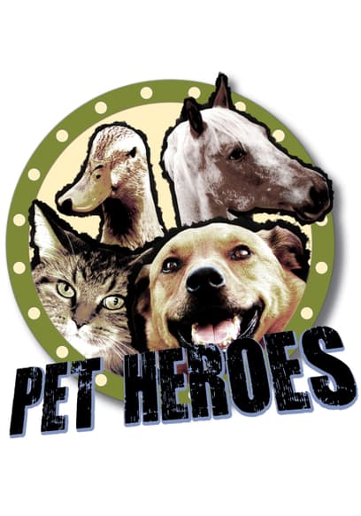 Pet Heroes