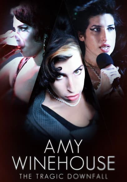 Amy Winehouse The Tragic Downfall