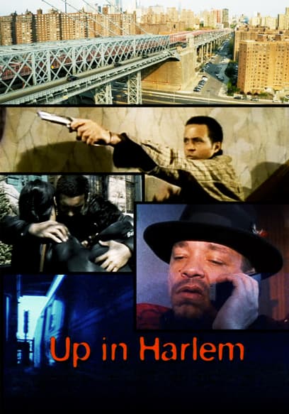 Up in Harlem