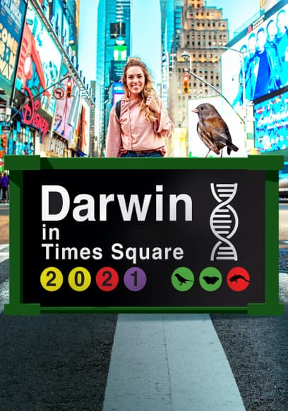 Darwin in Times Square