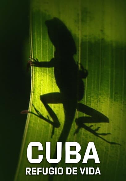 Cuba: Refugio De Vida