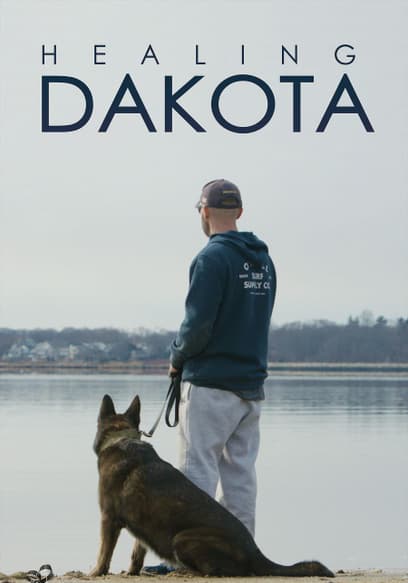 Healing Dakota