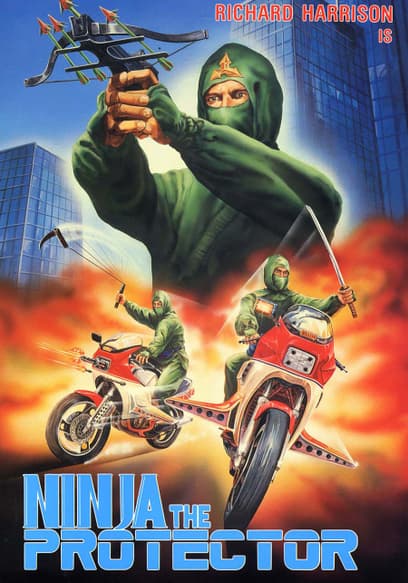 Ninja the Protector (Español)