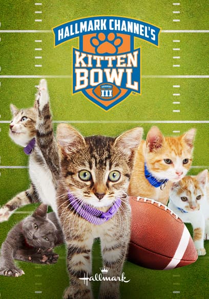 Kitten Bowl III