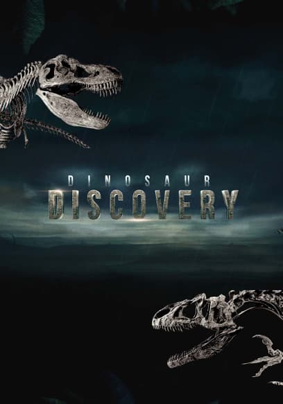 Watch Dinosaur Discovery Free Tv Shows Tubi
