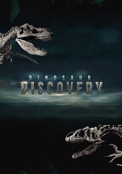 S01:E03 - A Complete Timeline of Prehistoric Creatures & Dinosaurs of North America