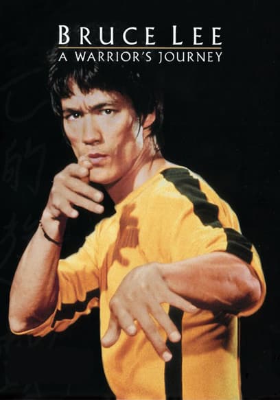 Bruce lee cheap movies online