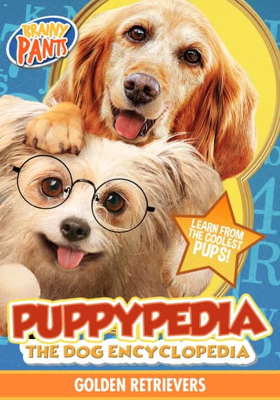 Puppy-Pedia the Dog Encyclopedia: Golden Retrievers