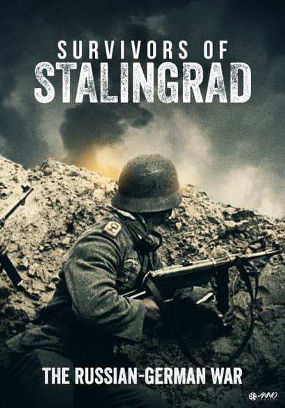 Survivors of Stalingrad: The Russian-German War
