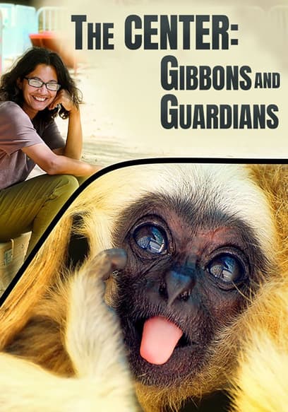 The Center: Gibbons and Guardians