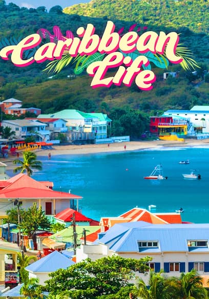 Watch Caribbean Life S20:E13 - A New Family on St. T - Free TV Shows | Tubi