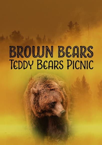 Brown Bears: Teddy Bears Picnic