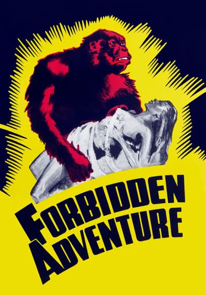 Forbidden Adventure