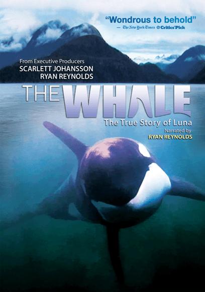 The Whale