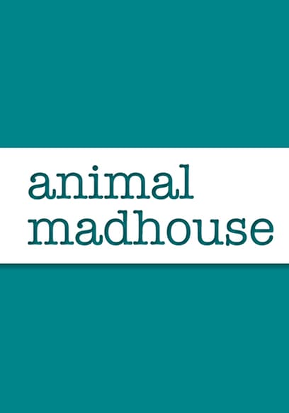 Animal Madhouse
