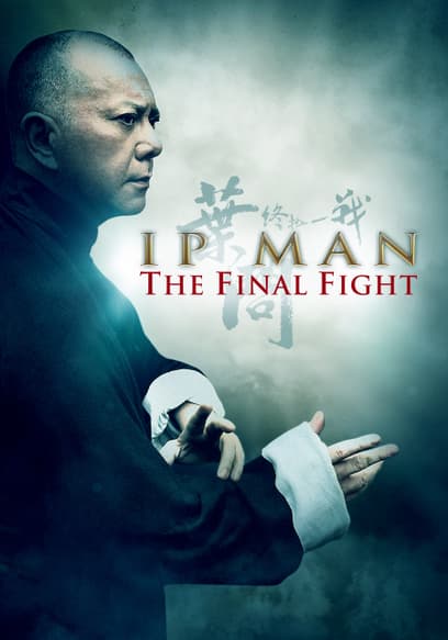 IP Man: The Final Fight (Español)