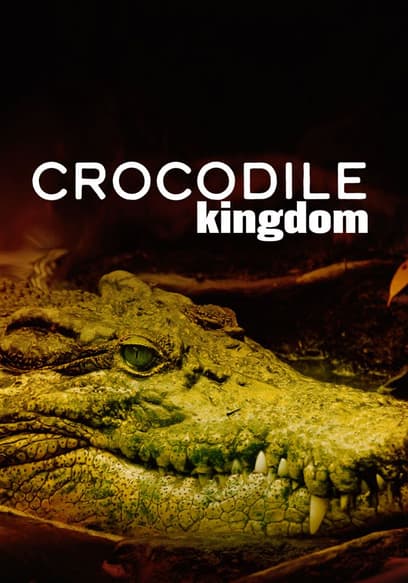 Crocodile Kingdom