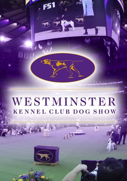 The Westminster Kennel Club Dog Show