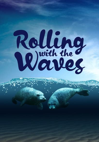 Rolling With the Waves