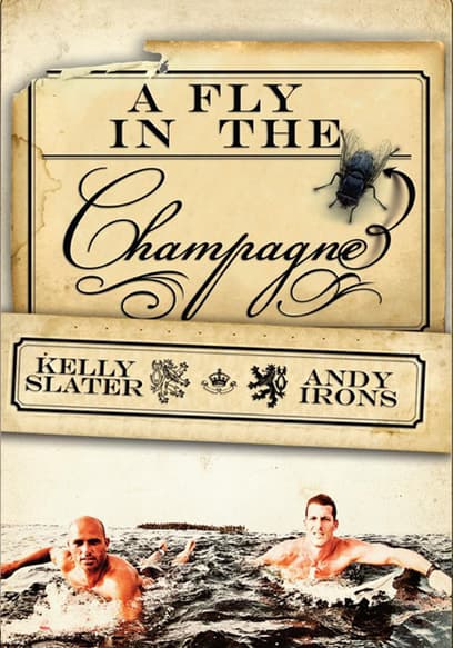 A Fly in the Champagne