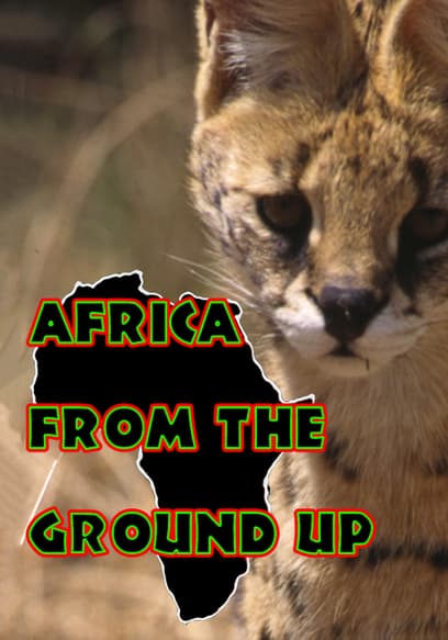 Africa From the Ground Up