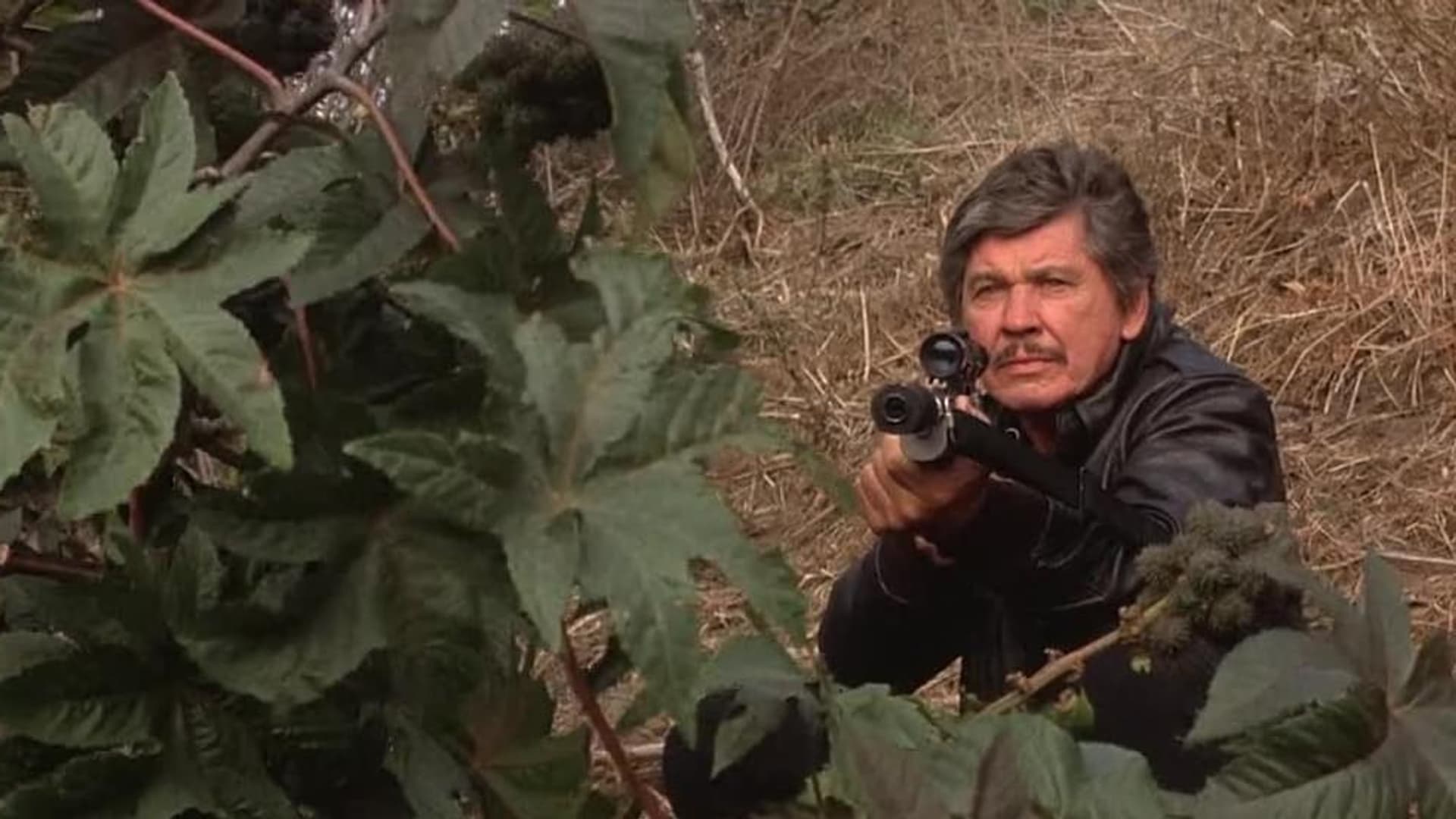 Watch Death Wish 4 The Crackdown 1987 Free Movies Tubi