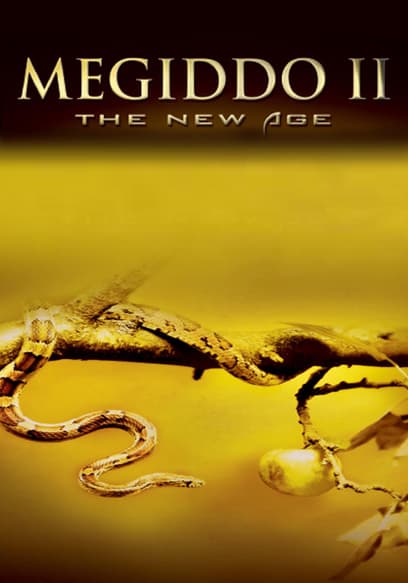 Megiddo II: The New Age