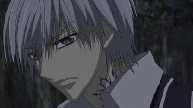 Watch Vampire Knight S02:E14 - Burden of Sinners - Free TV Shows | Tubi