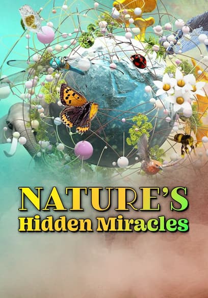 Watch Nature's Hidden Miracles - Free TV Shows | Tubi