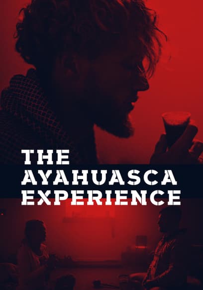 The Ayahuasca Experience