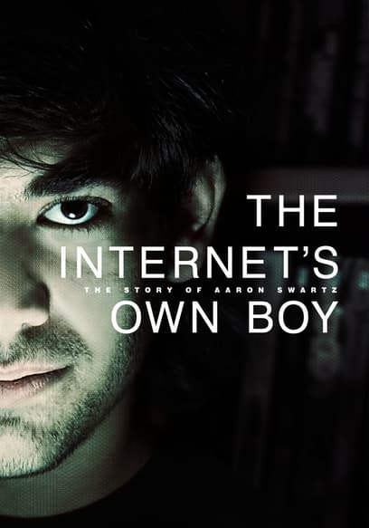 The Internet's Own Boy