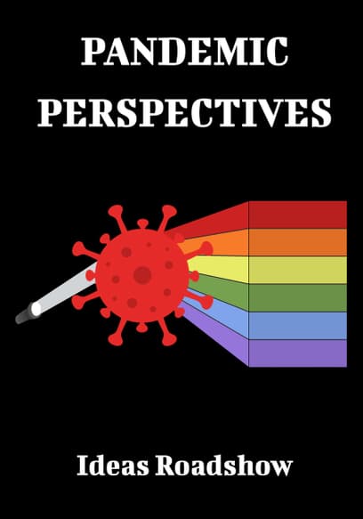 Pandemic Perspectives