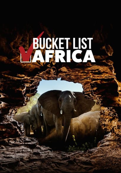 Bucket List Africa