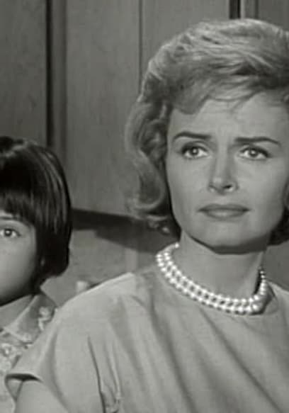 Watch The Donna Reed Show S05:E24 - The House on the - Free TV Shows | Tubi