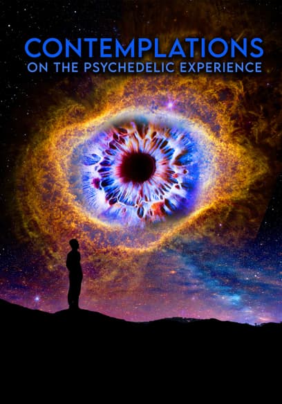 Contemplations: On the Psychedelic Experience