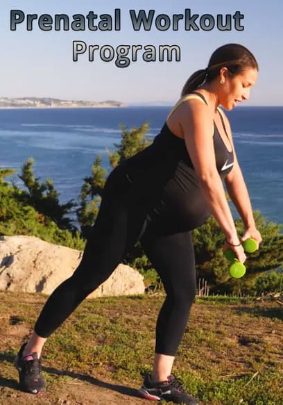 Prenatal Workout Program