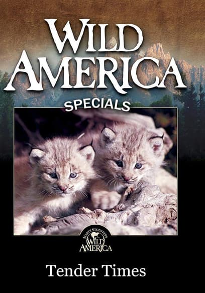 Wild America Specials: Tender Times