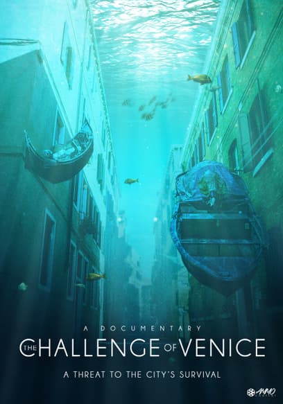 The Challenge of Venice