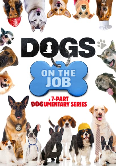 S01:E02 - Dogs Move Into the Stage and Stadium