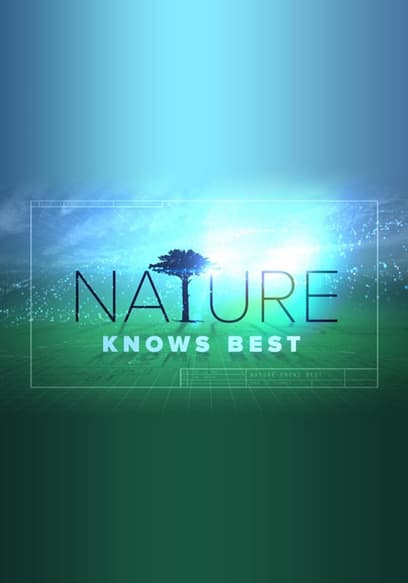 S01:E06 - Nature's Sticky Inventions