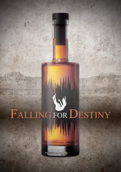 Falling for Destiny