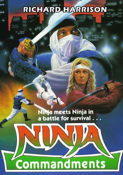Ninja Commandments (Español)