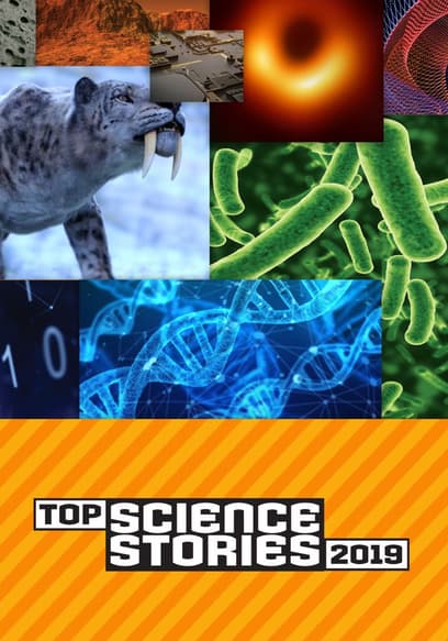 Top Science Stories of 2019