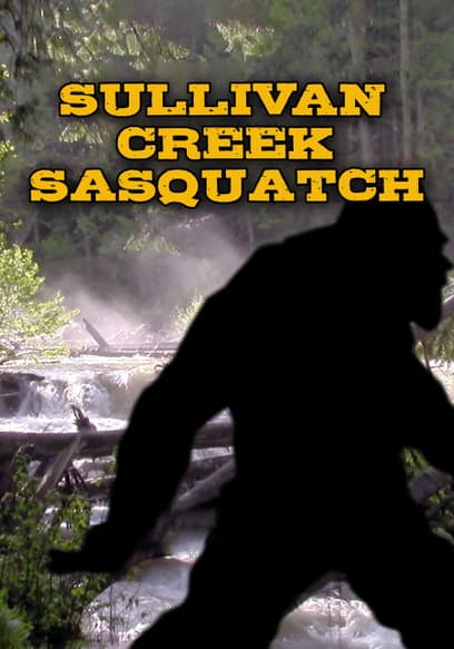 Sullivan Creek Sasquatch