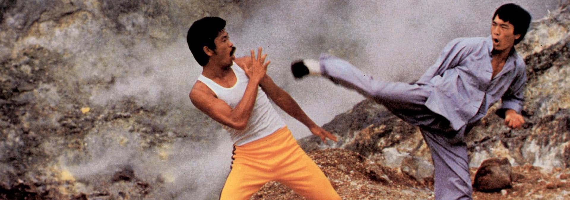 BRUCE LEE SUPERSTAR 1976 visual data 3