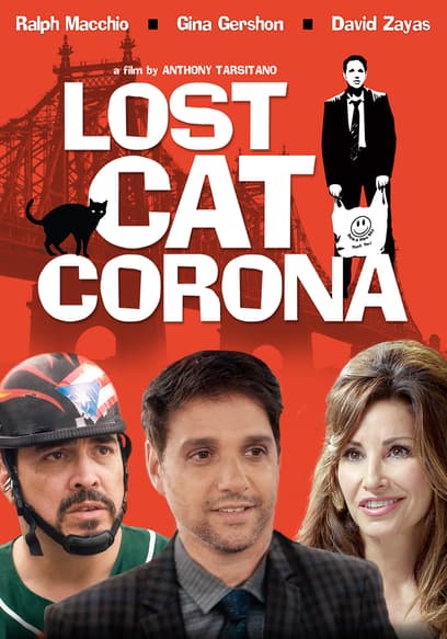 Lost Cat Corona