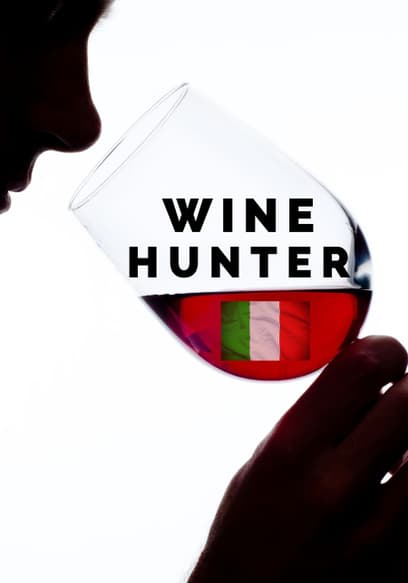 Wine Hunter