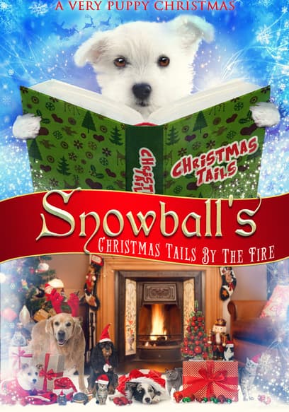 Snowball’s Christmas Tail by the Fire