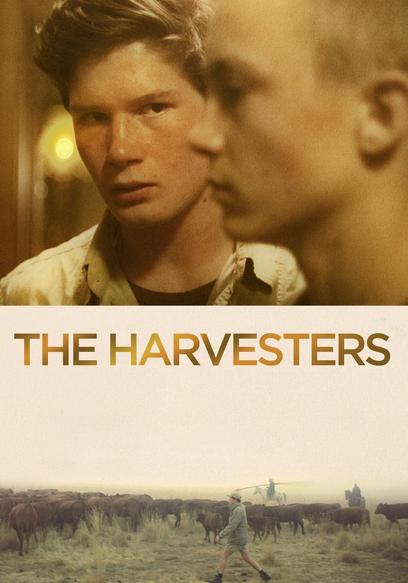 The Harvesters