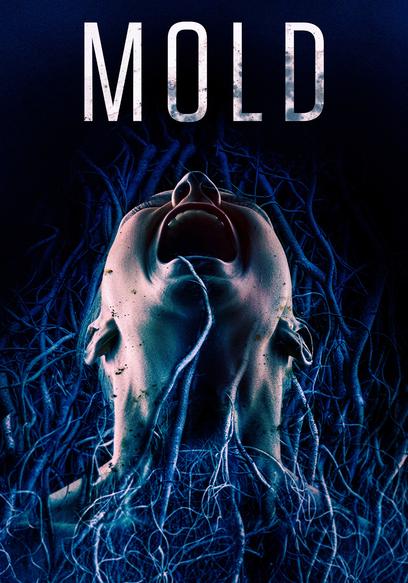 Mold